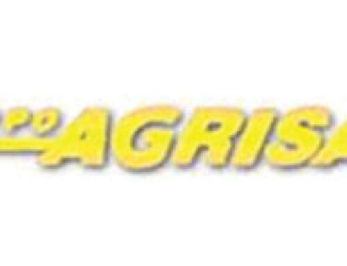 Grupo-Agrisal-Holiday-Inn